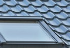 Alma Parkskylight-replacements.jpg; ?>